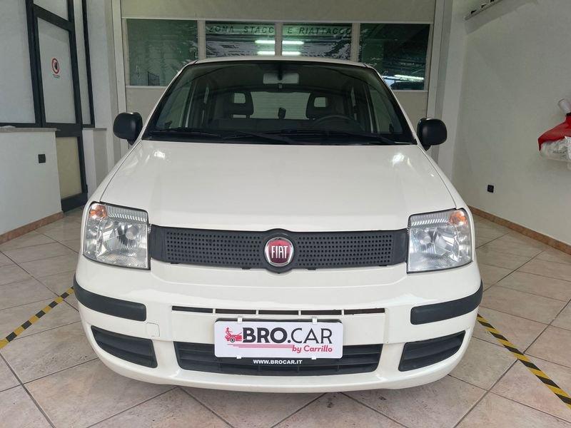 FIAT Panda Panda 1.2 69cv Classic