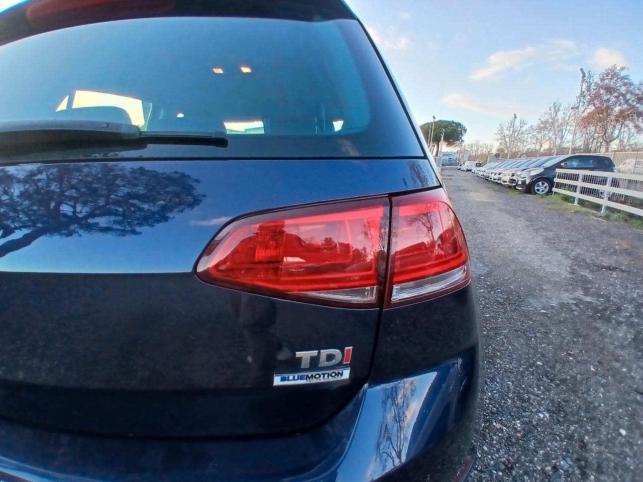 Volkswagen Golf 1.6 TDI 5p. Highline BlueMotion Technology