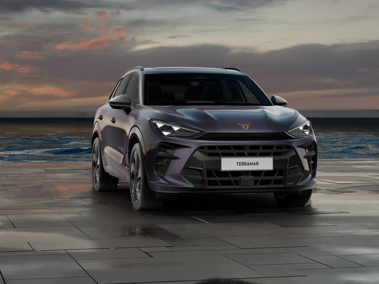 Cupra Terramar 1.5 hybrid 150cv dsg