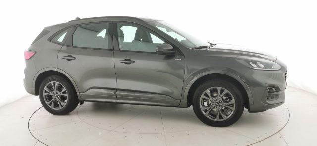 FORD Kuga 2.0 EcoBlue 120 CV aut. AWD ST-Line