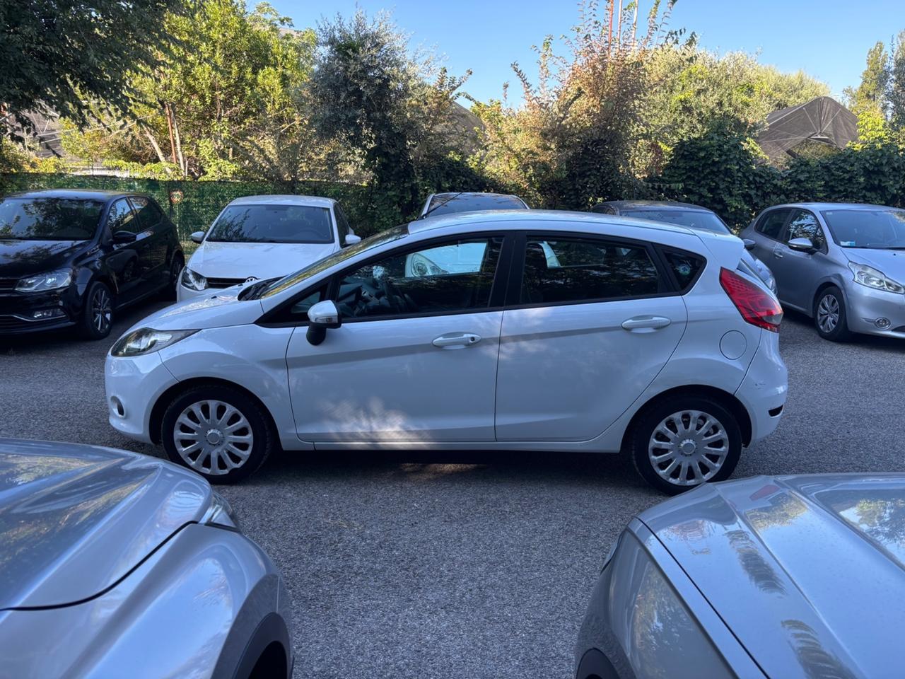 Ford Fiesta 1.4 TDCi 5 porte Diesel