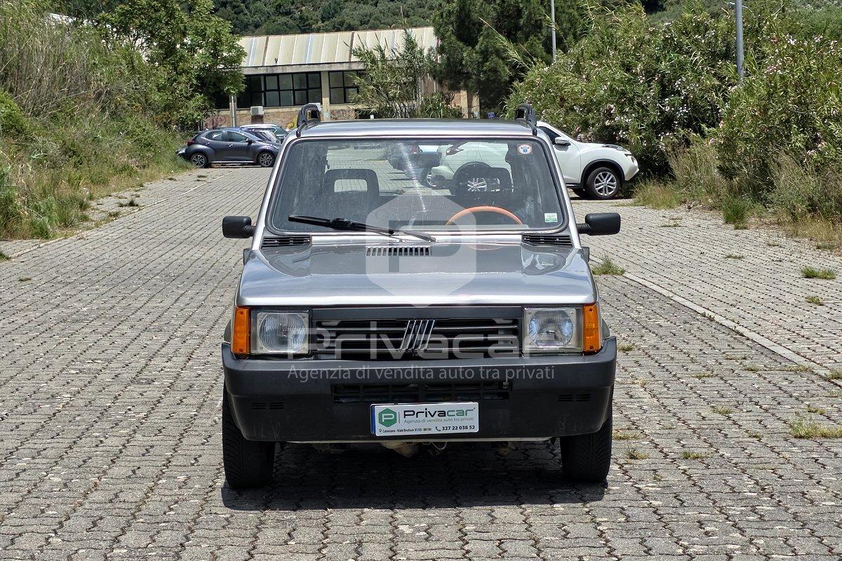 FIAT Panda 1ª serie 1100 i.e. cat Young