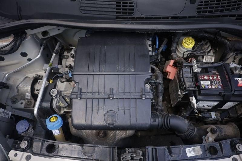 FIAT Panda FIAT Panda 1.2 69cv Easy Unicoproprietario
