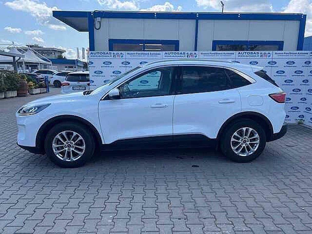 FORD Kuga 1.5 EcoBlue 120 CV 2WD Titanium Business del 2021