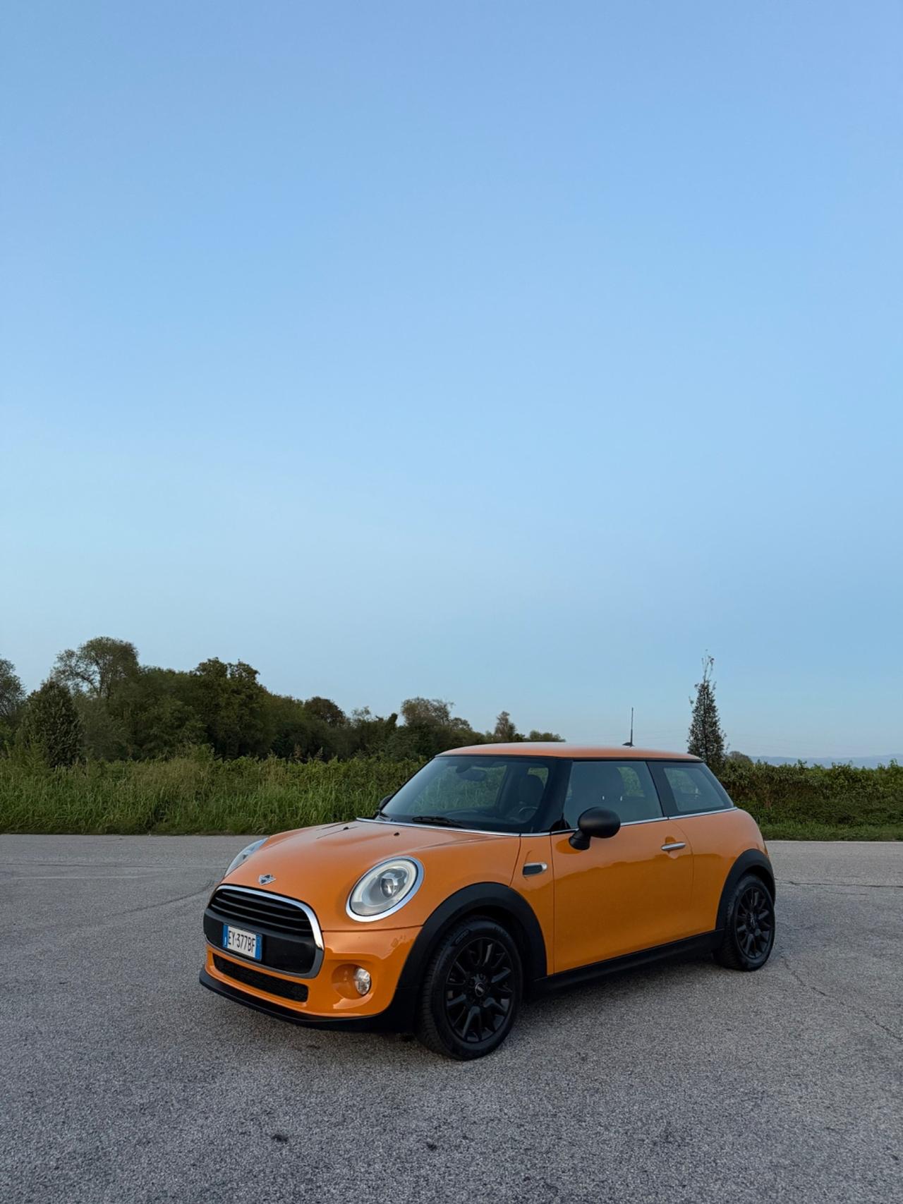 Mini 1.5 One D