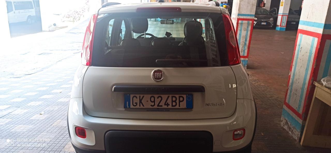 Fiat Panda 1.0 FireFly S&S Hybrid km 56.000