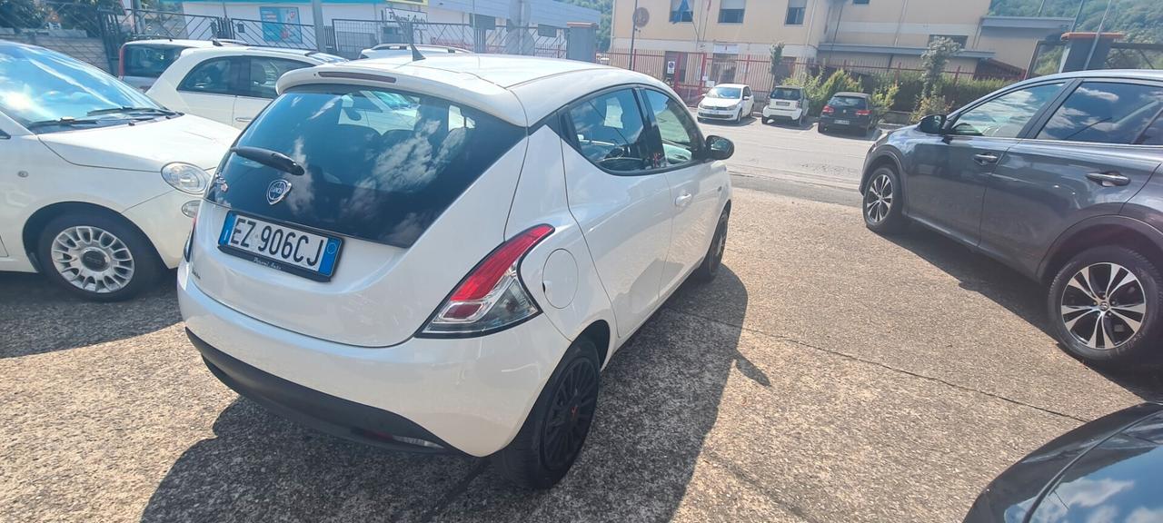 Lancia Ypsilon 1.2 69 CV 5 porte GPL Ecochic Elefantino