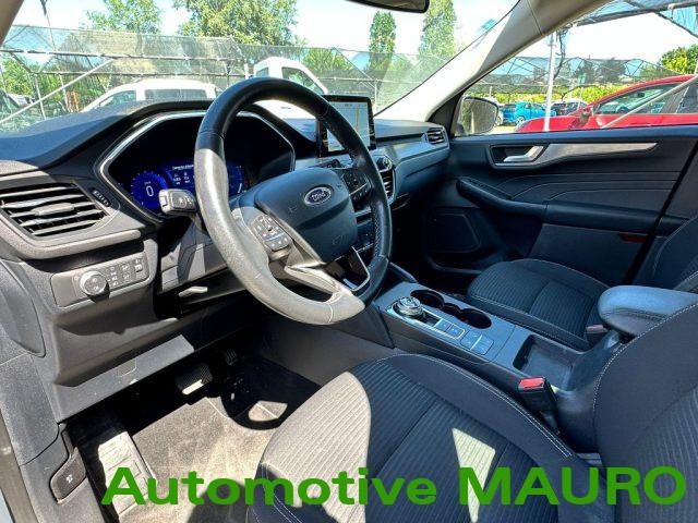 FORD Kuga 1.5 EcoBlue 120 CV 2WD Titanium Business
