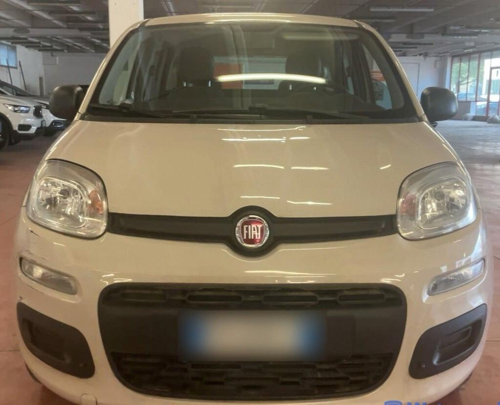 Fiat Panda 1.2 Easy Benzina