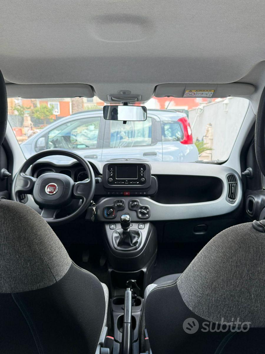 fiat panda
