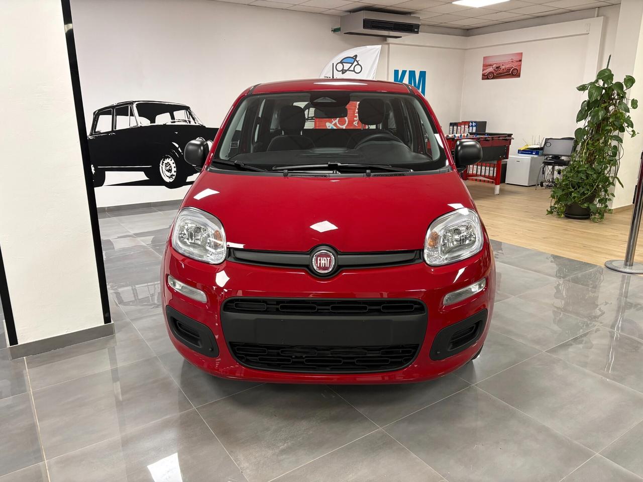 Fiat Panda Icon 1.2 Hybrid - KMO