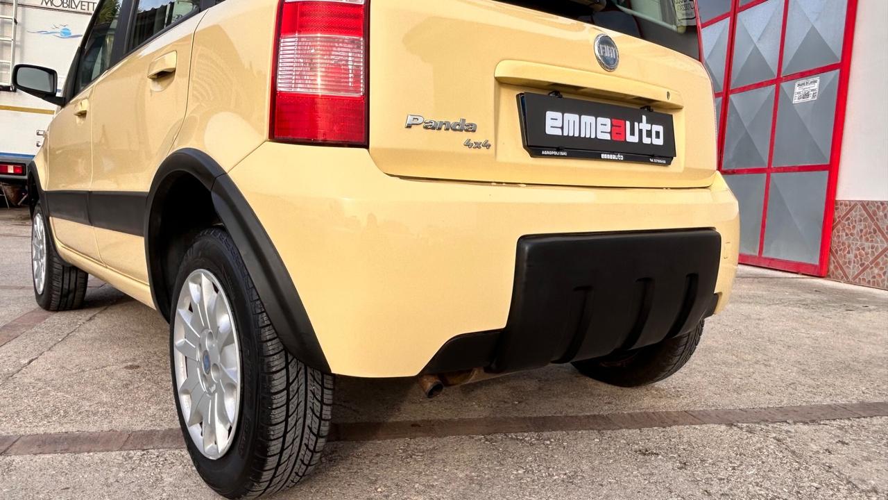 Fiat Panda 1.2 Benz 60cv 4x4