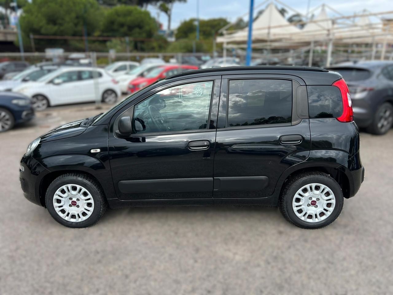 FIAT PANDA 1.2 connected by wind - 2020