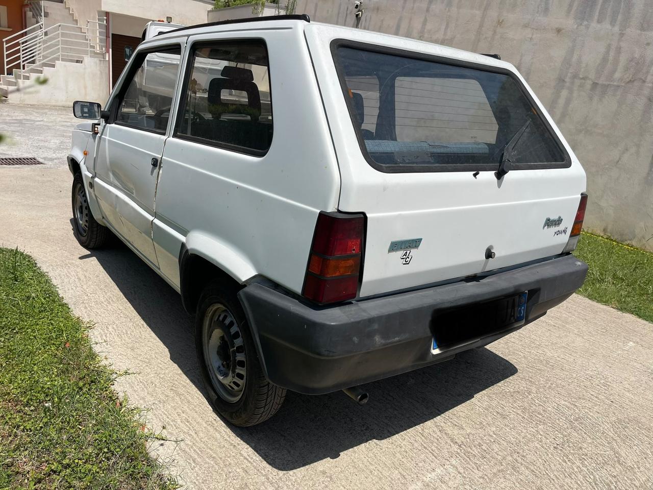 Fiat Panda 900 i.e. cat Young