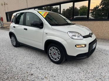 FIAT Panda 1.0 FireFly Hybrid 70cv S&S MT6 - KmZero