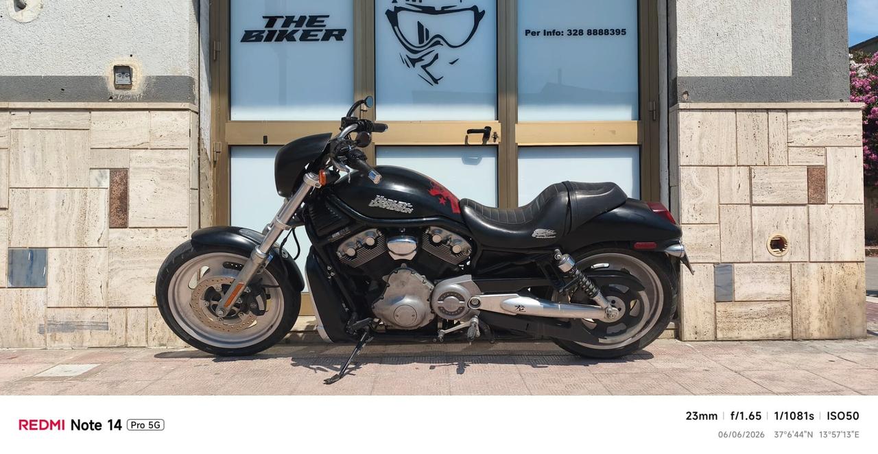 Harley-davidson night rod