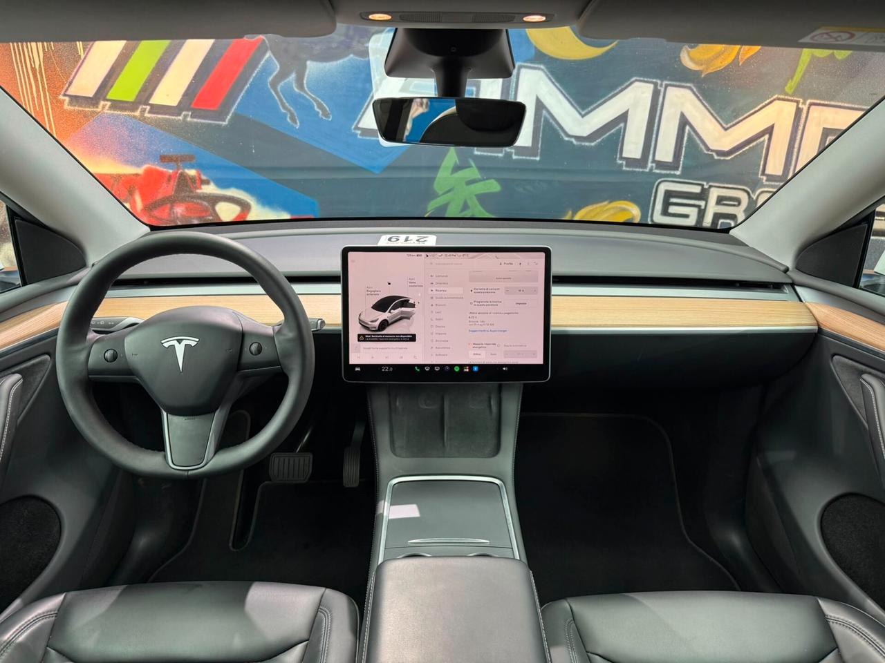 Tesla Model Y Long Range AWD (349)