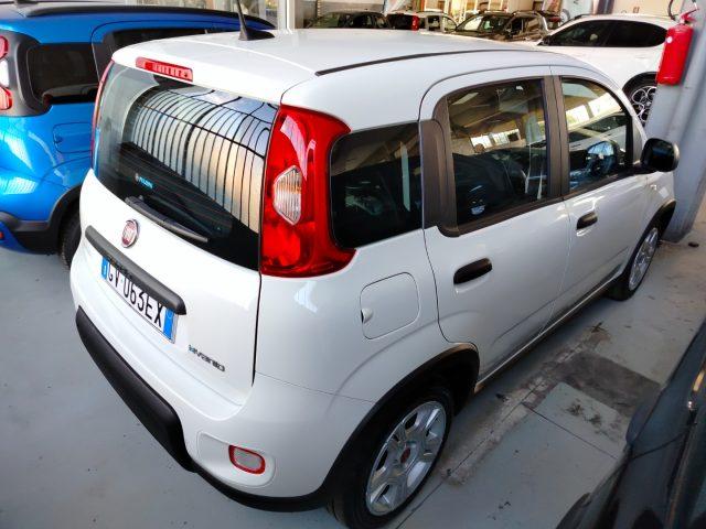 FIAT Panda 1.0 FireFly S&S Hybrid km 2.000