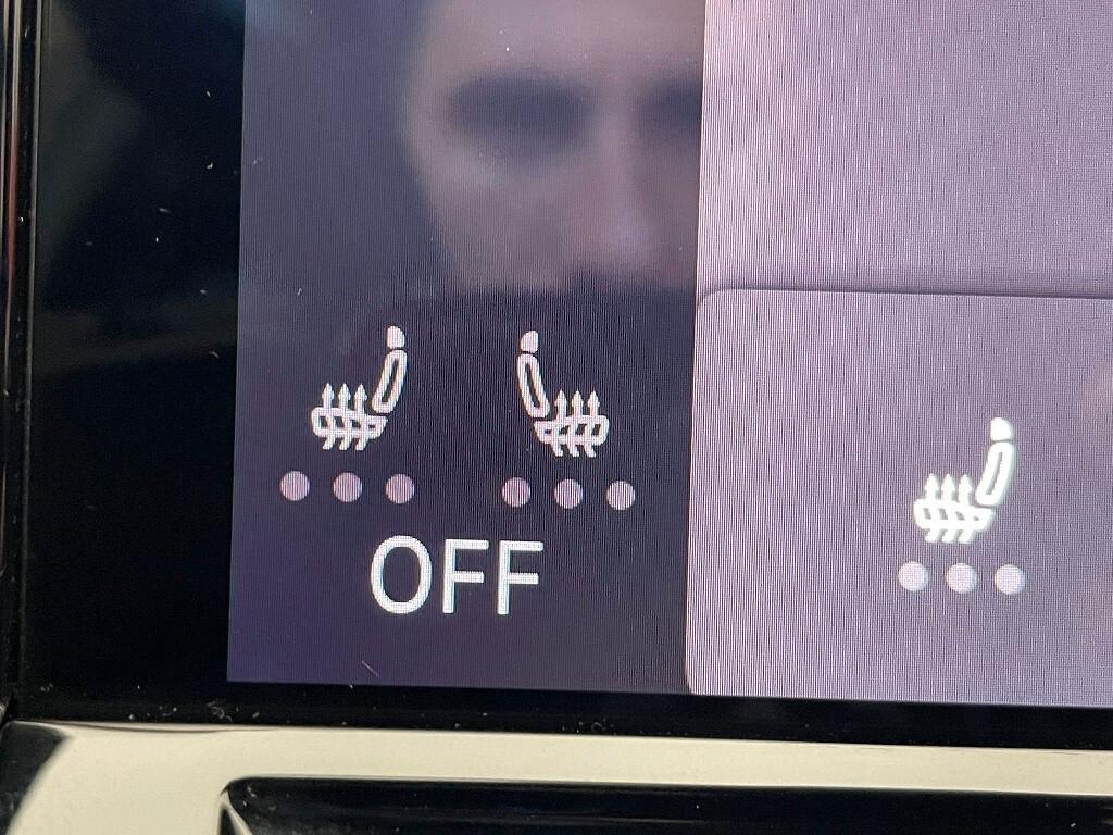 VOLKSWAGEN GOLF GTI PERFORMANCE 245cv DSG