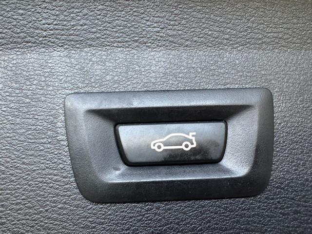 BMW X1 xDrive25e Business Advantage