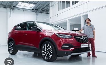 Opel Grandland X 1.6 diesel Ecotec Start&Stop Innovation