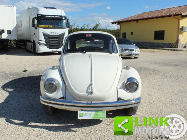 VOLKSWAGEN Maggiolone 13 D1 / Targata Roma / Matching Numbers