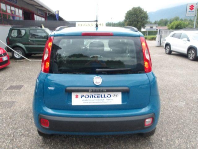FIAT Panda 1.2 NEOPATENTATI - CINGHIA OK