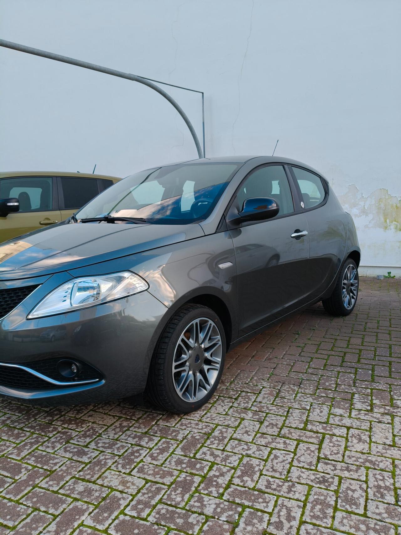 Lancia Ypsilon 1.2 69 CV 5 porte GPL Ecochic Elle