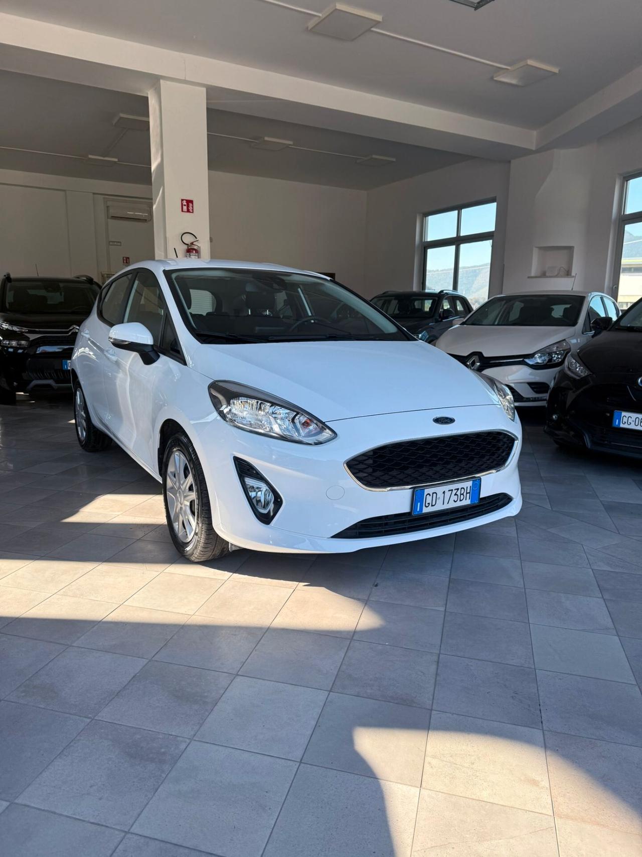 Ford Fiesta 1.5 EcoBlue 5 porte Business