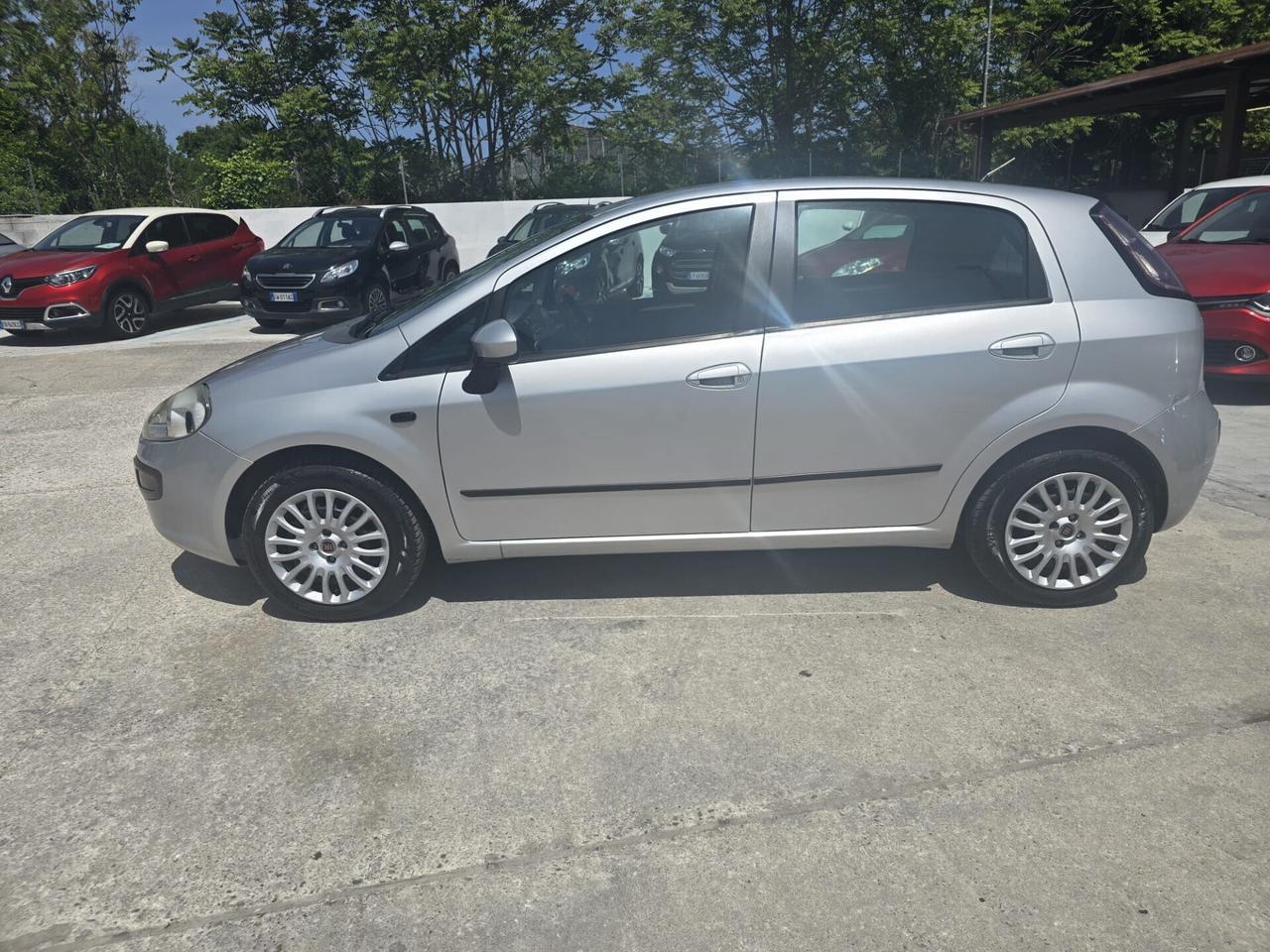 Fiat Punto Evo Punto Evo 1.2 5 porte Active