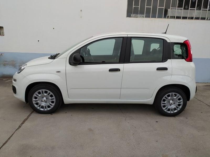 FIAT Panda 1.0 70cv Hybrid Promo CBC 5