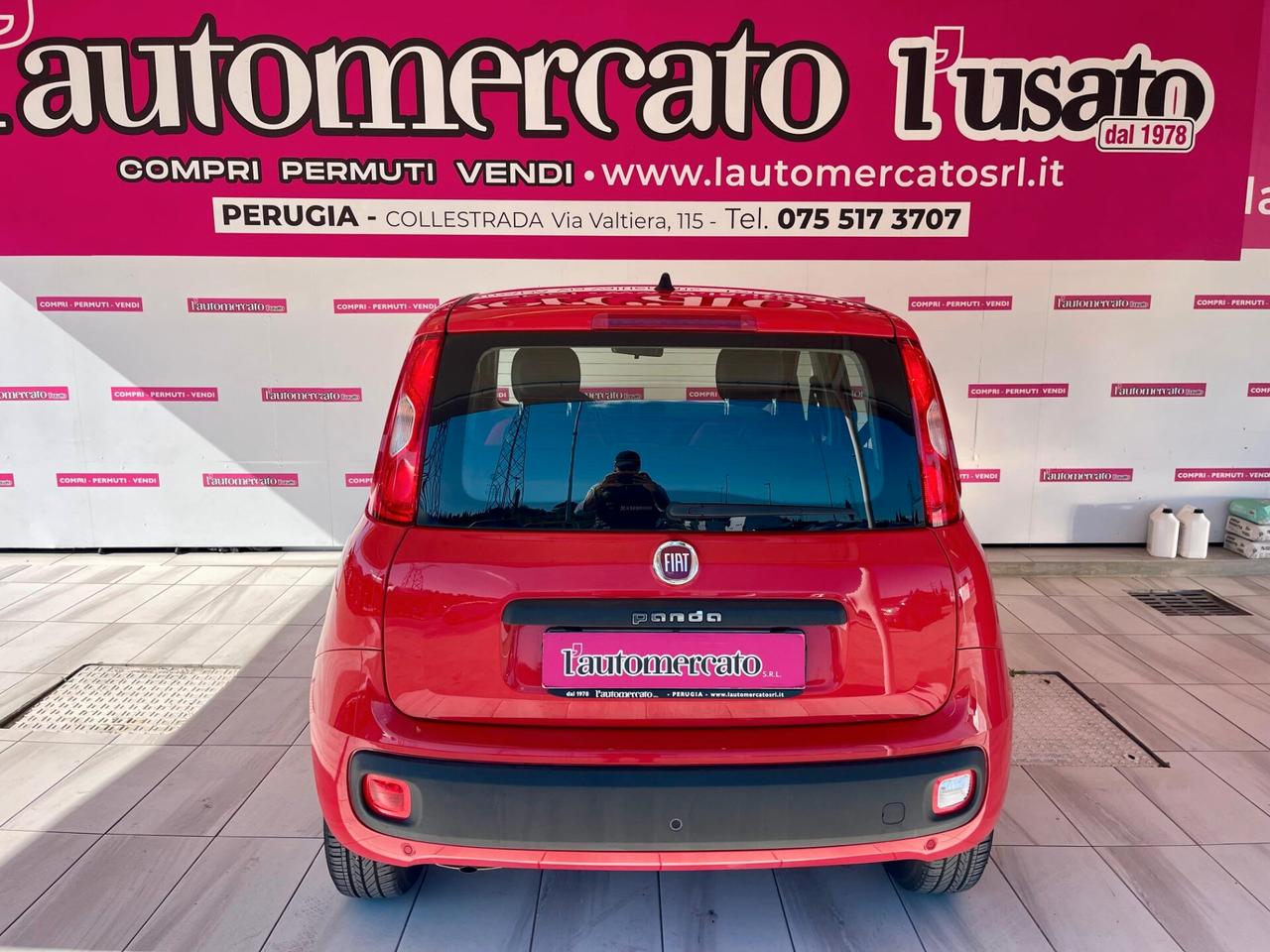 FIAT Panda 3ª serie Panda 1.2 Easy