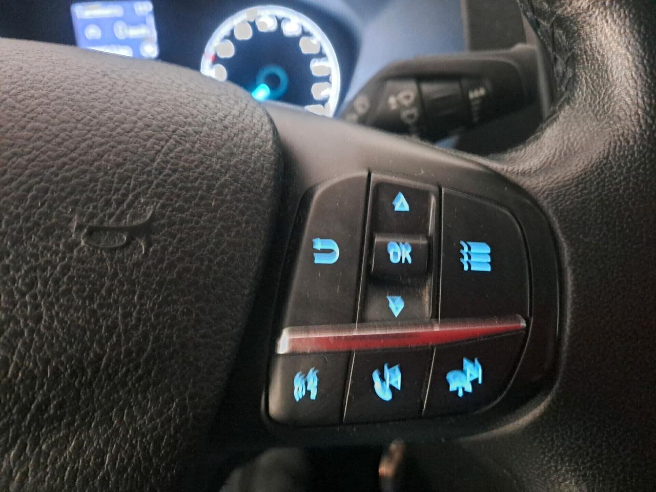 Ford Transit 350 2.0TDCi EcoBlue 130CV PL-TM Furgone Trend L3 H3 IBRIDO/GASOLIO