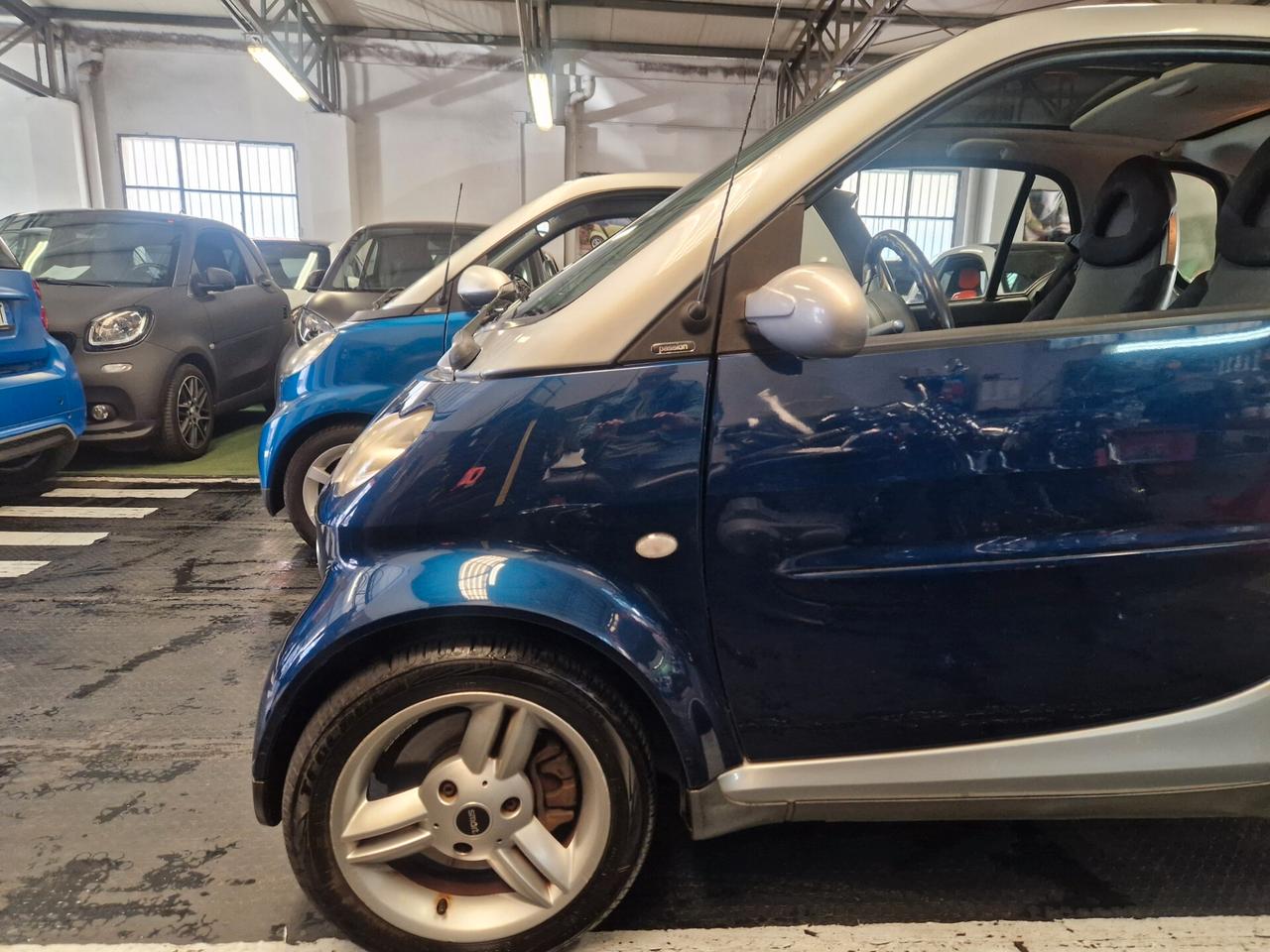 Passion 06 motore revisionato garanzia