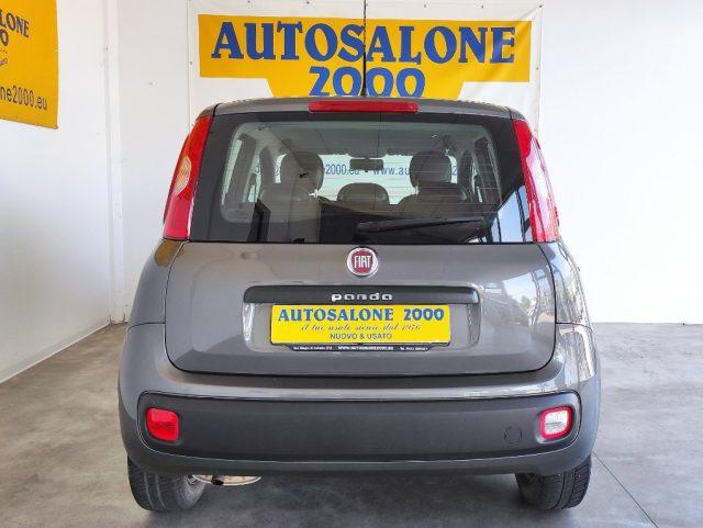 FIAT Panda 1.2 Easy NEOPATENTATI