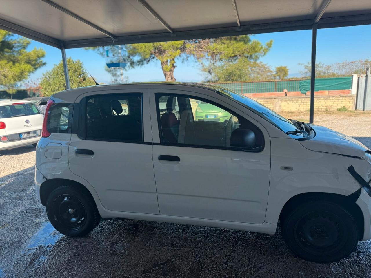 Fiat Panda 1.2 Lounge sinistrata incidentata