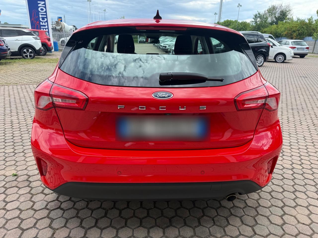 Ford Focus 1.5 EcoBlue 95 CV 5p. Business