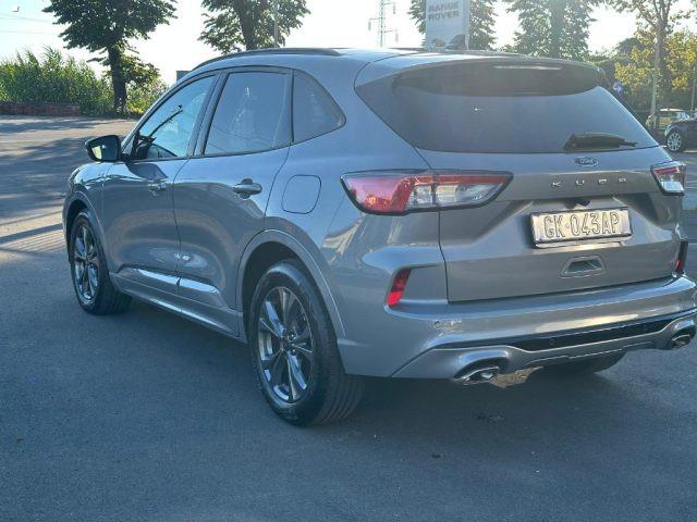 FORD Kuga 1.5 EcoBlue 120 CV 2WD ST-Line