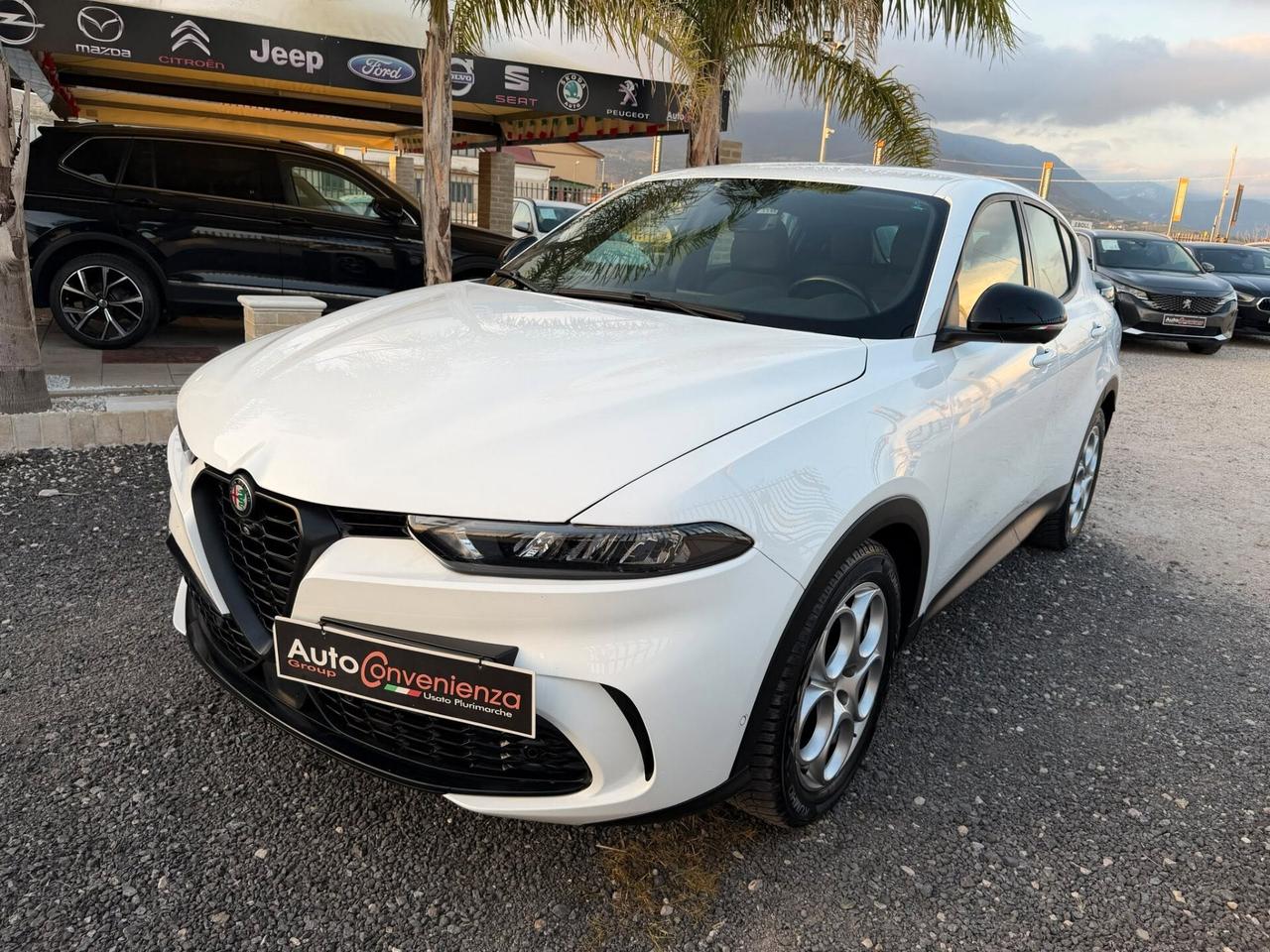 Alfa Romeo Tonale 1.6 diesel 130 CV TCT6 Sprint