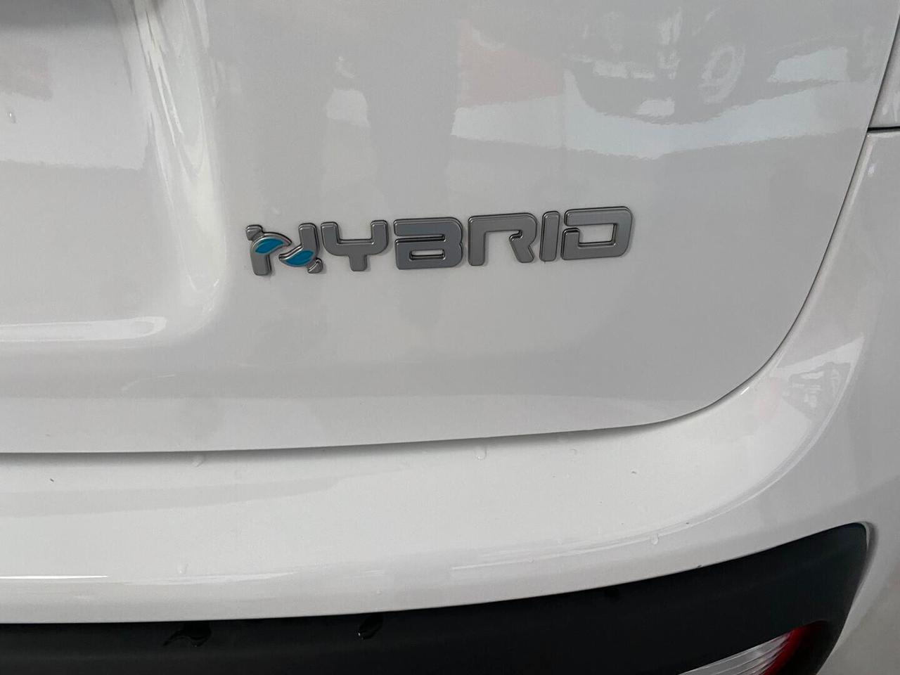 Fiat Panda Icon 1.0 Hybrid 65cv -KMO 2026