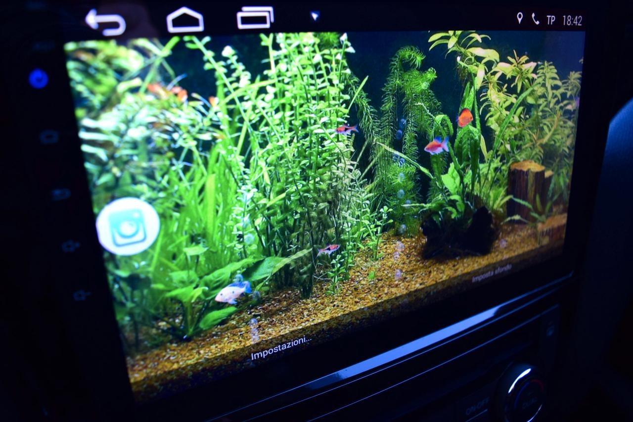 Nissan Qashqai 1.5 dCI 110 cv Acenta