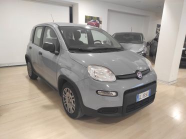 Fiat Panda 1.0 Hybrid X NEOPATENTATI 31600 KM