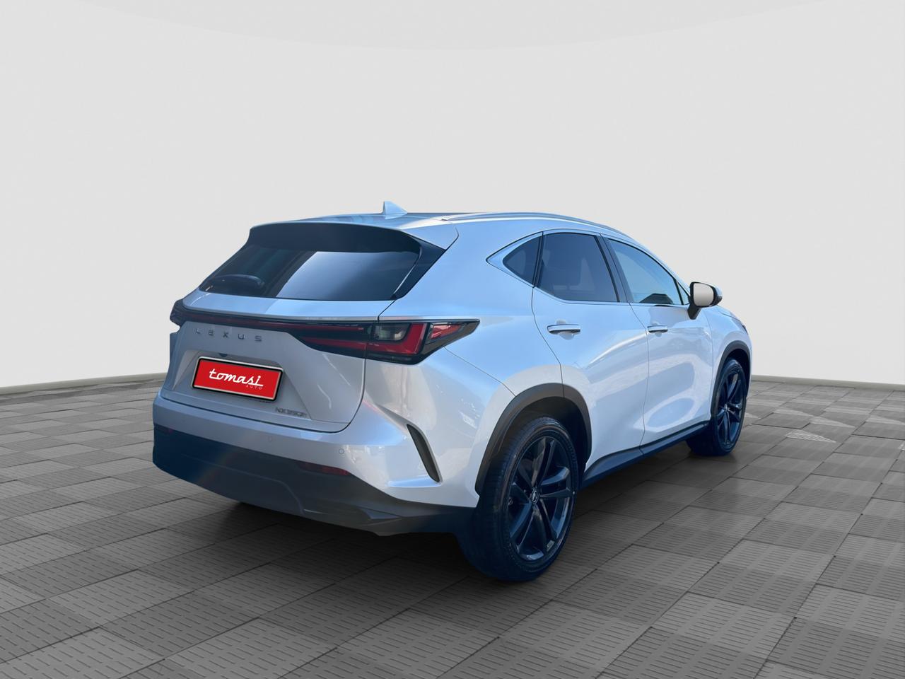 LEXUS NX 2ª serie NX Hybrid 4WD Premium +