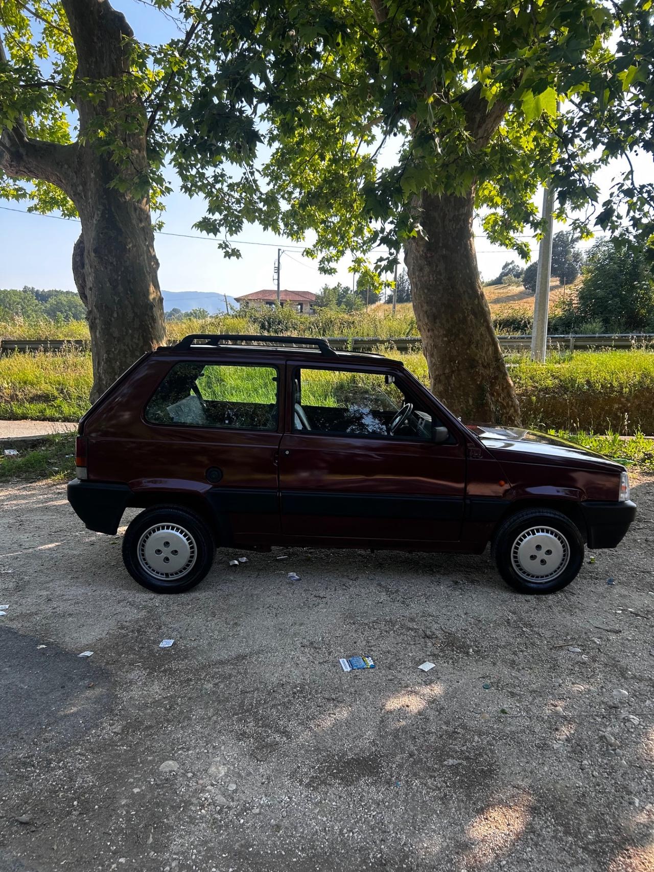 Fiat Panda 1100 i.e. cat Young