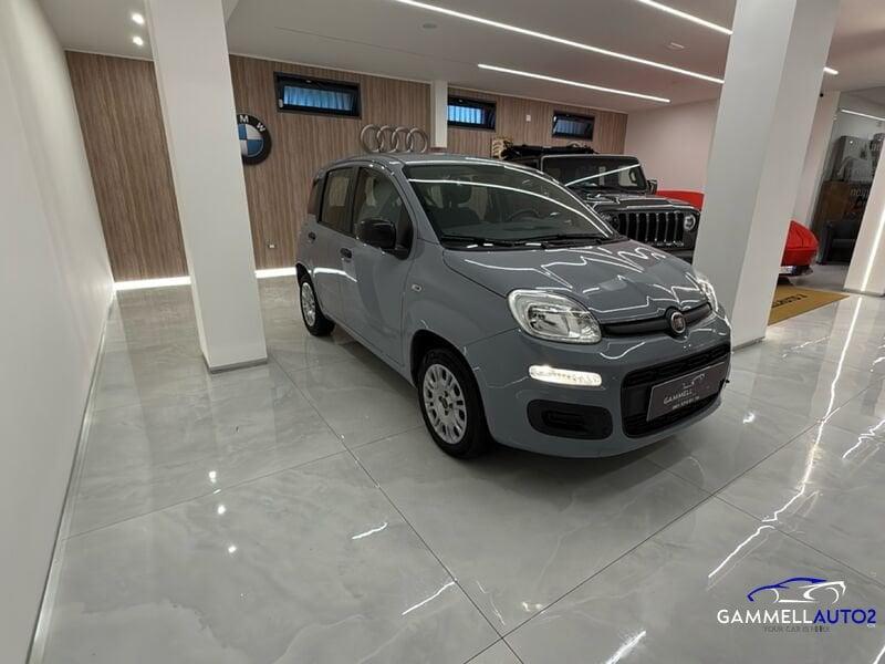 FIAT Panda Panda 1.2 Easy