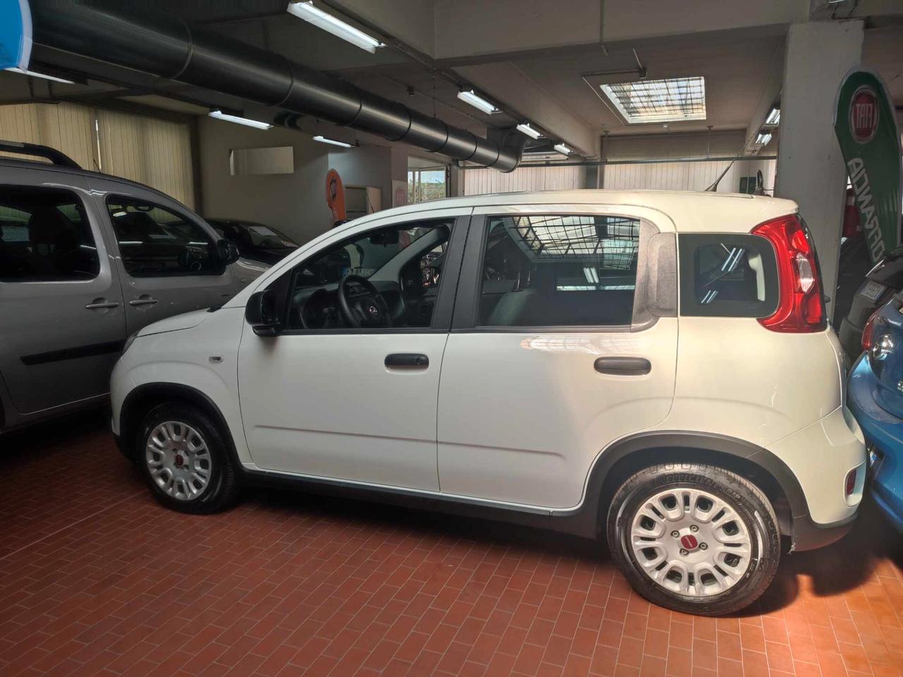 Fiat Panda 1.0 FireFly S&S Hybrid