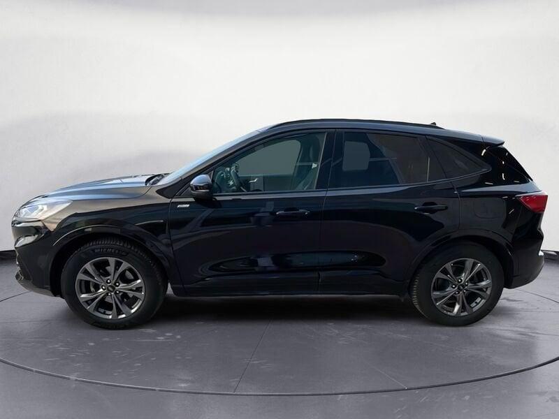 Ford Kuga 2.0 EcoBlue 120CV AWD ST-Line X Auto