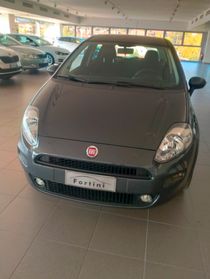 FIAT Punto 1.2 8V 5 porte Street