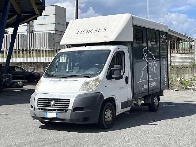 Fiat Ducato 30 2.3 MJT Trasporto Cavalli