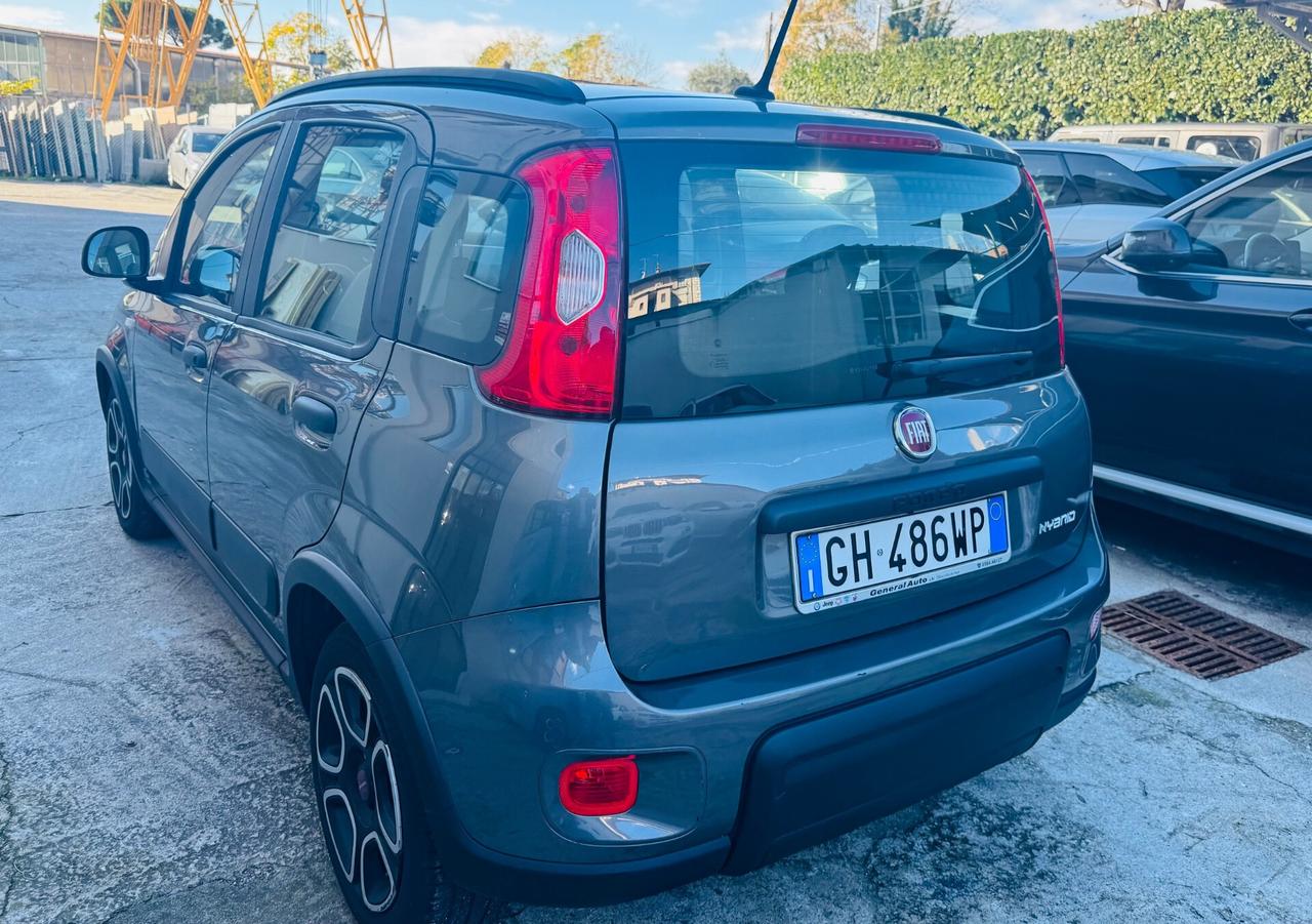 Fiat panda ibrida benzina Sport ok neopatentati